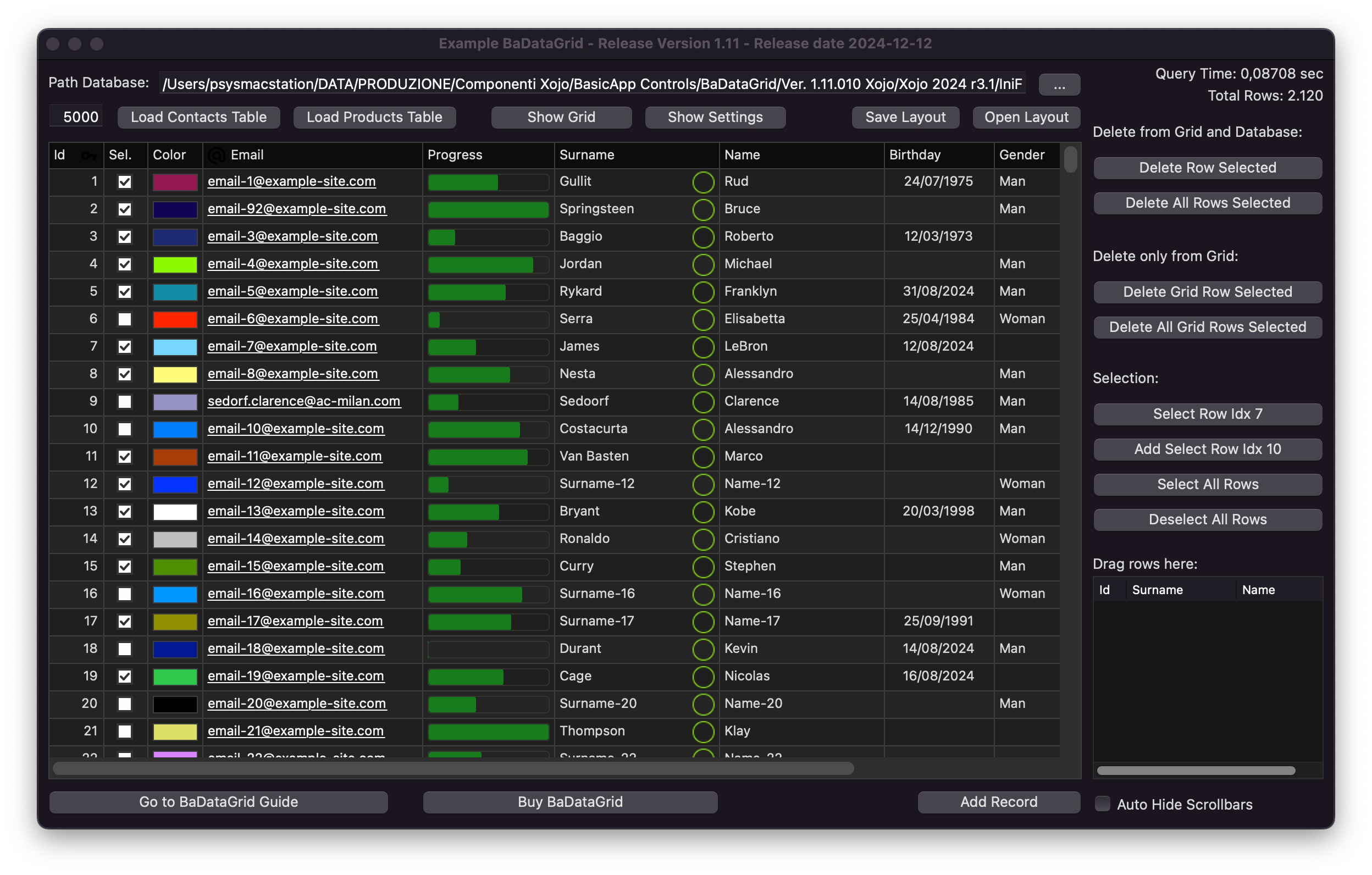 BasicApp Xojo DataGrid 1 dark