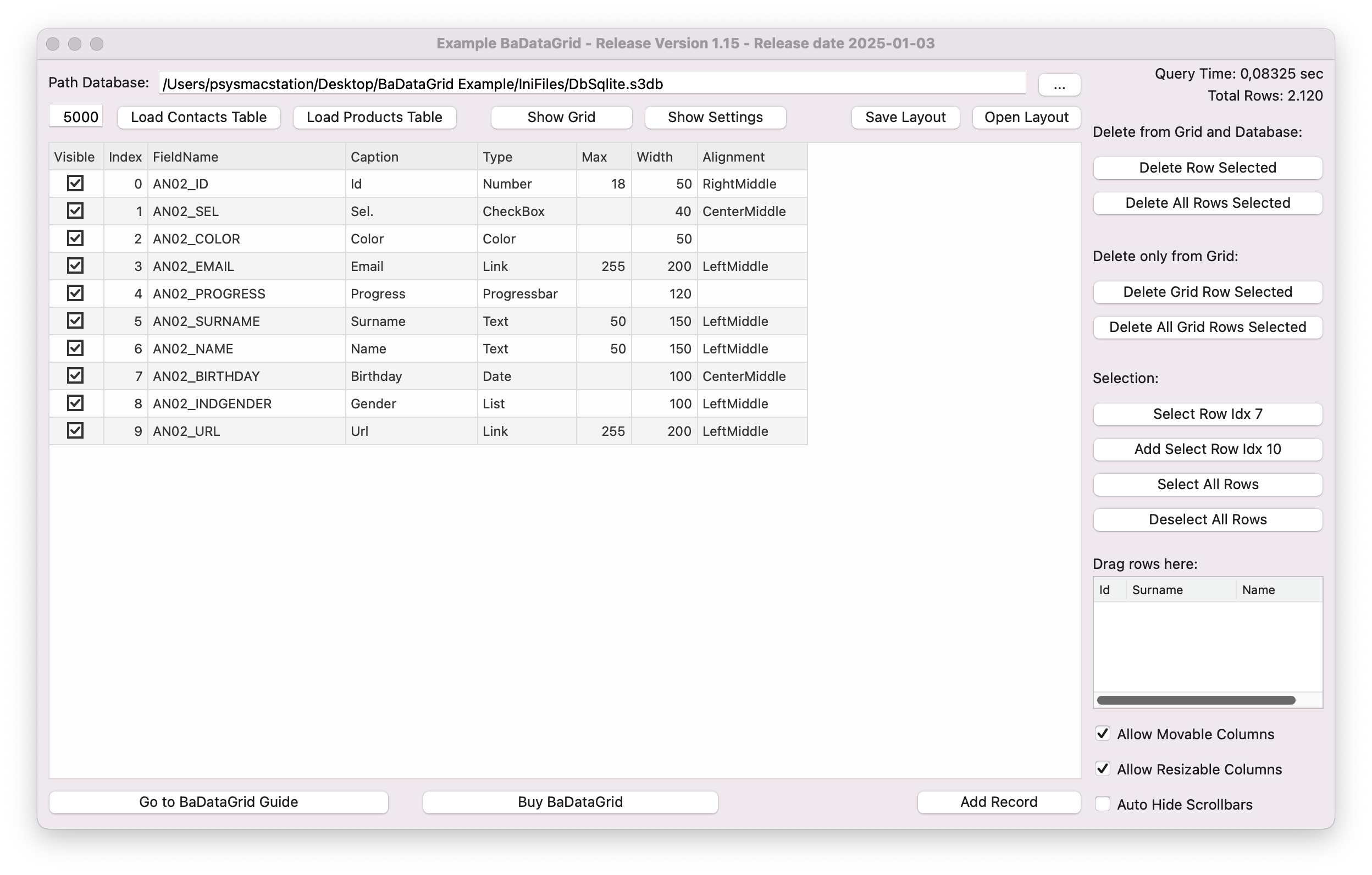 BasicApp Xojo DataGrid setting